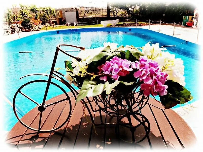 Roxani Hotel Amoudara Lasithiou